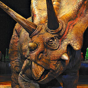 Torosaurus